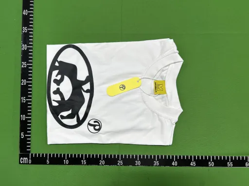 R01