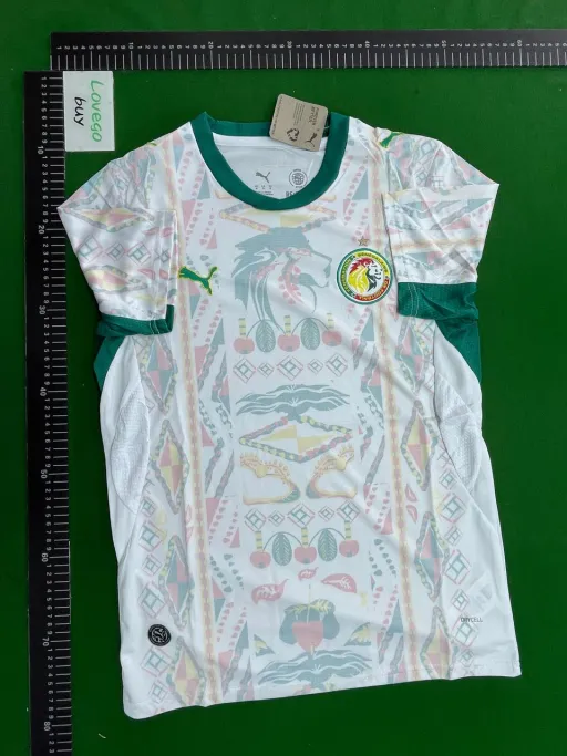 Fan 2627 senegal away