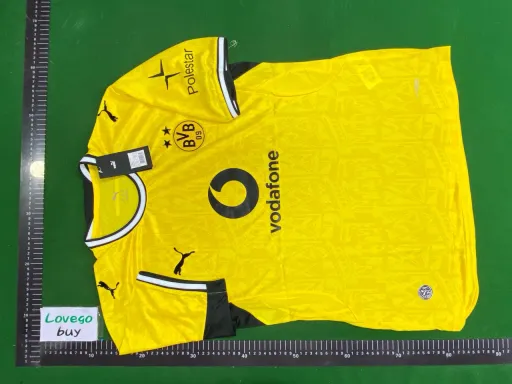 2627 dortmund home court