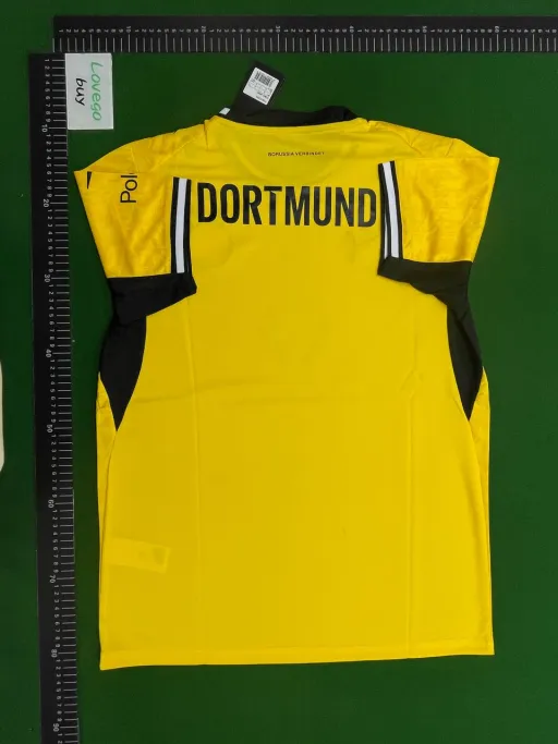 2627 dortmund home court