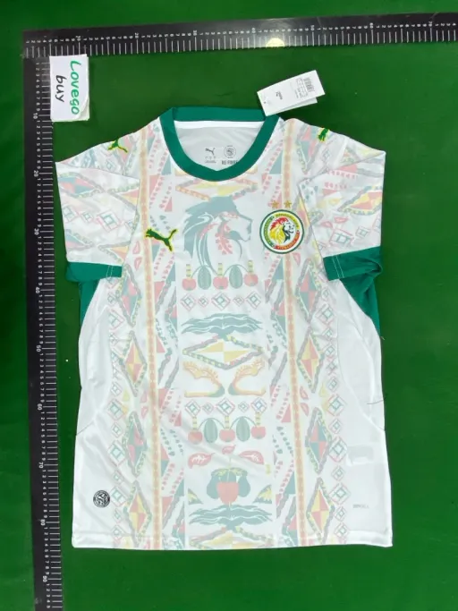 2627 senegal home court