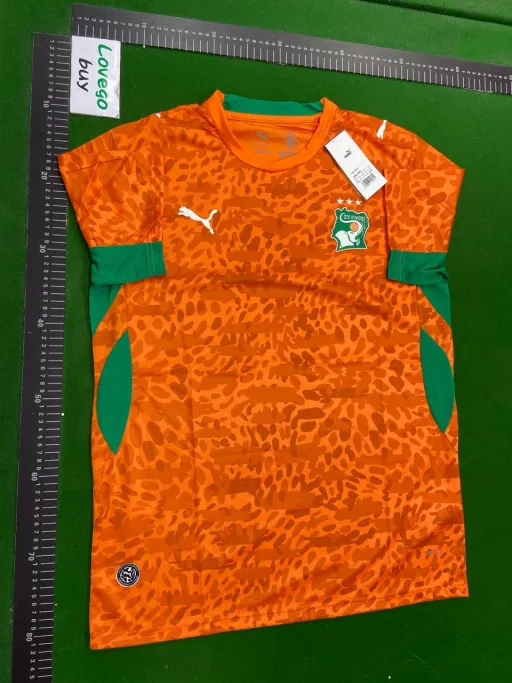 2026 cote d'ivoire home game