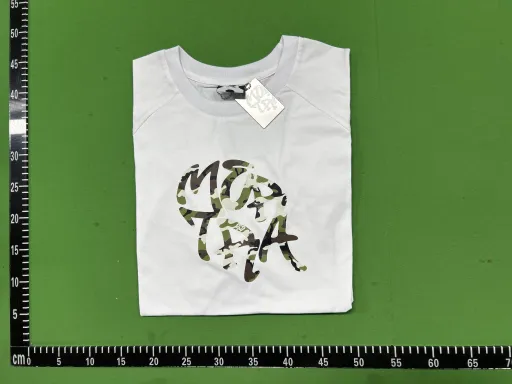204白