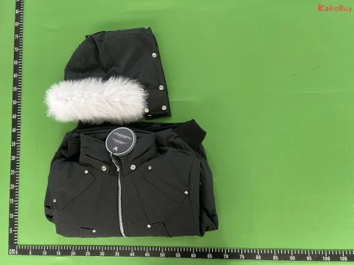 black(white fur)
