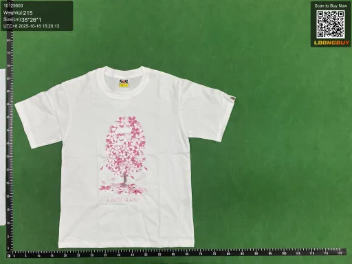 __qc_other__ d:2026-05-04
