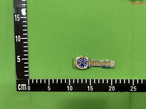 日志女无钻 间金深蓝