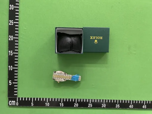 日志天行者 间金白