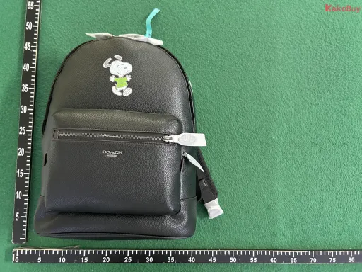 6 纯黑 小动物608