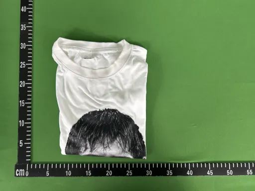 1T