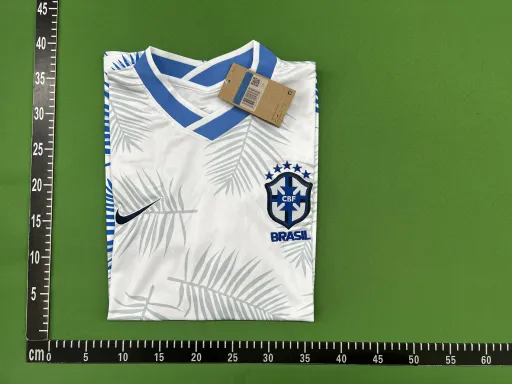 23-24巴西叶子