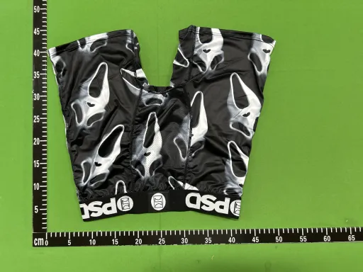 P66