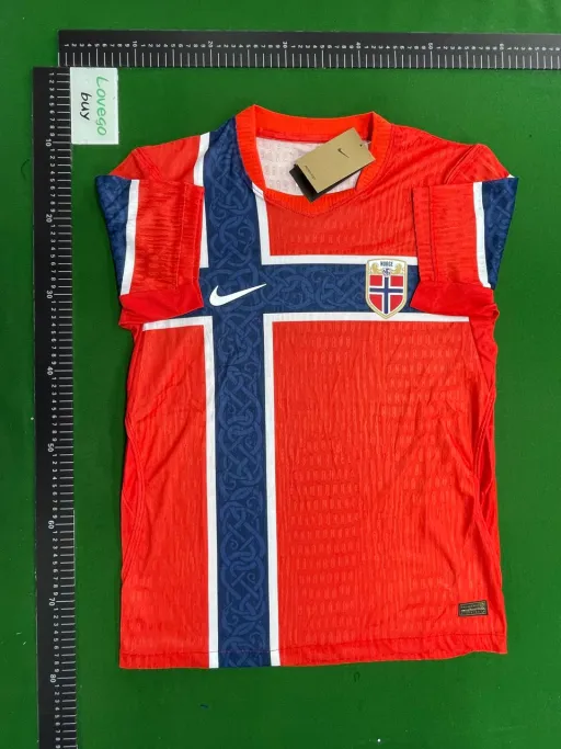 2026 world cup#Norway home
