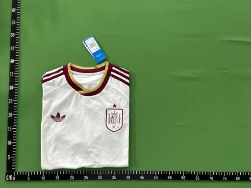 2026世界杯 #西班牙客场