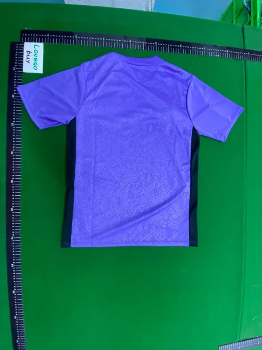 2526 barcelona dark purple