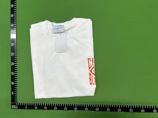 c137白