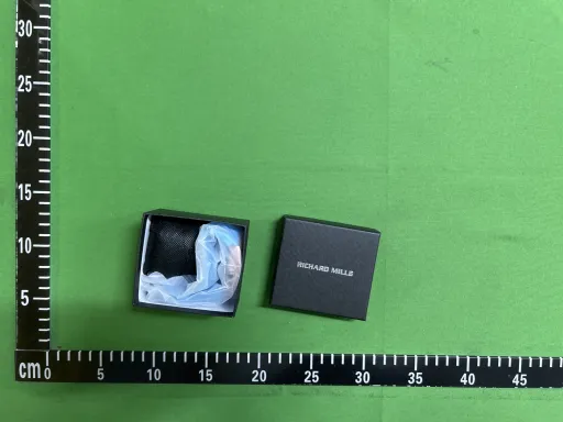 理查德熊猫硅胶蓝