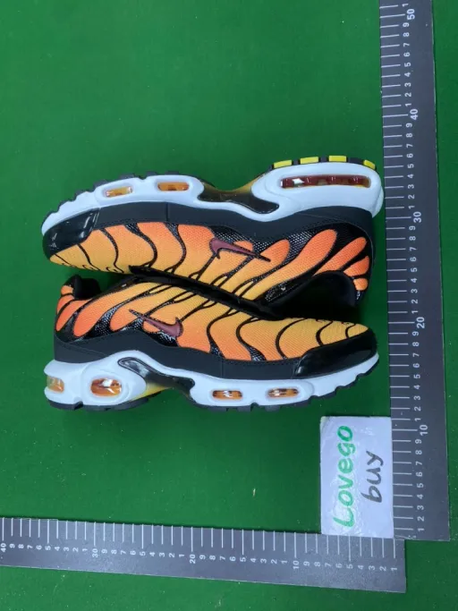 TN1-5