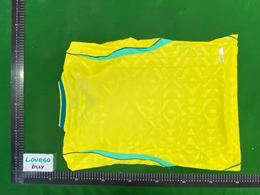 Player:  2627 brazil home