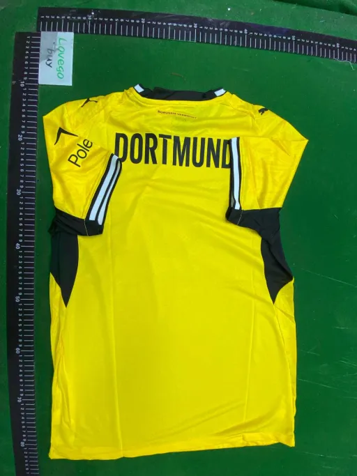 Player:  2627 dortmund home