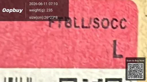 __qc_other__ d:2026-06-10
