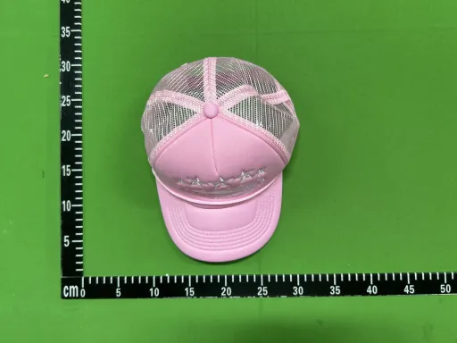 五星游轮粉色