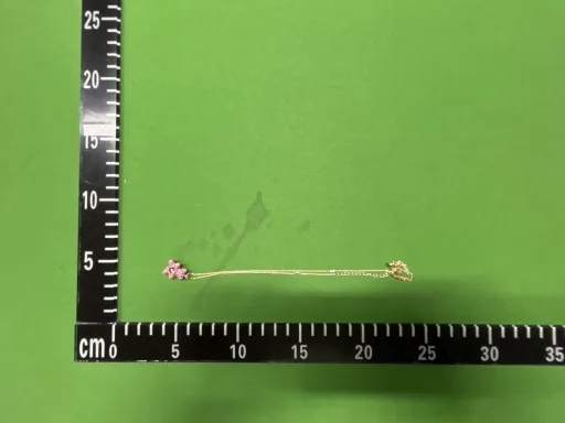 灵动粉熊项链