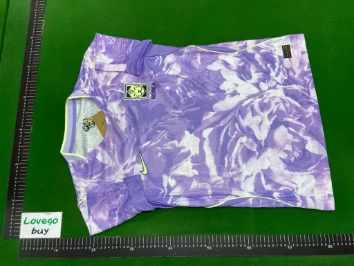 2627 south korea away game