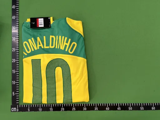 04巴西10号
