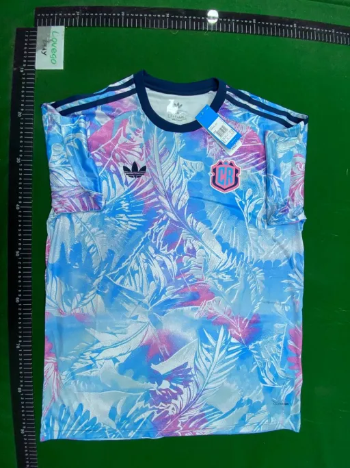 2627 costa rica away game
