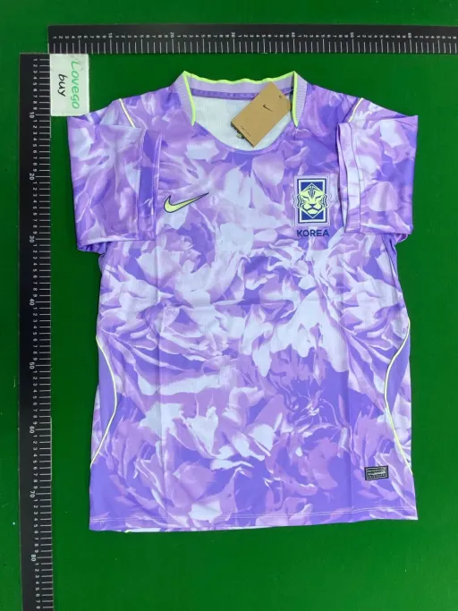 2627 south korea away game