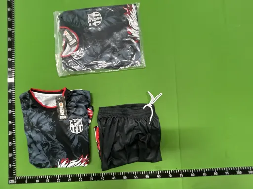 巴萨黑狮子