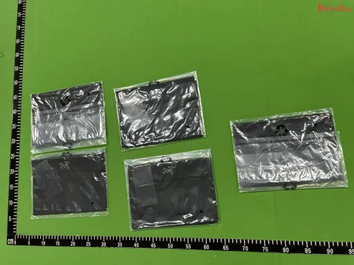 黑色刺绣款