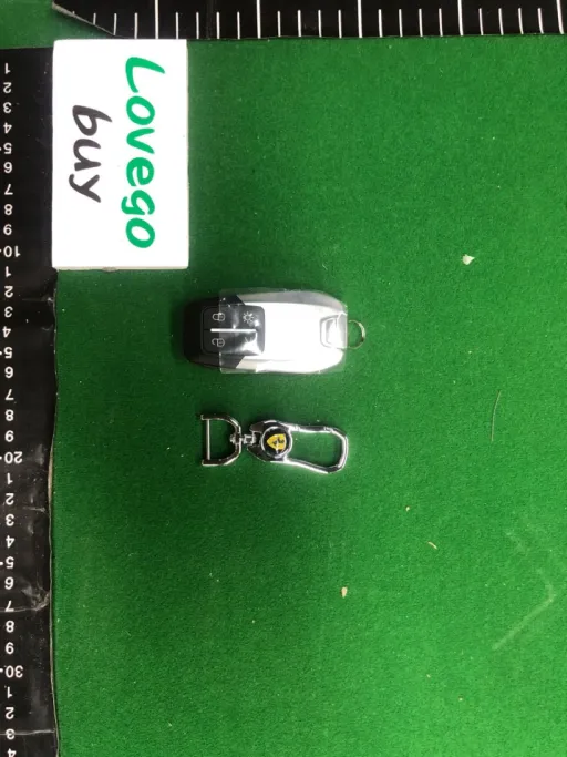 Color Classification: New Ferrari Key with Circuit Board Teeth and Keychain Included