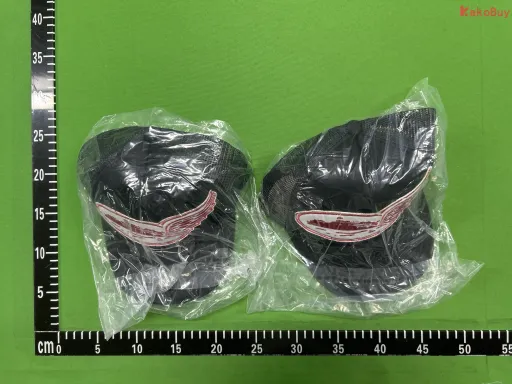 颜色分类:黑色 翅膀