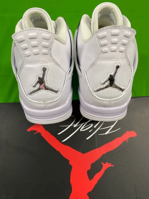 model: 308497-100 Pure Money