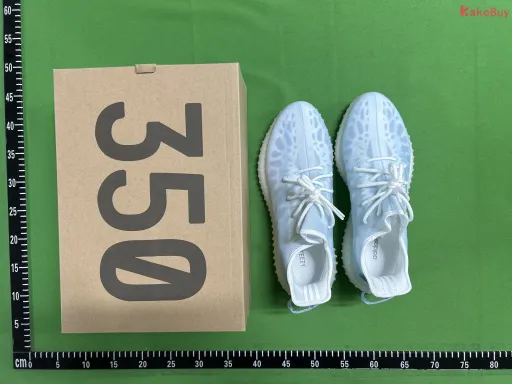 QC fotka