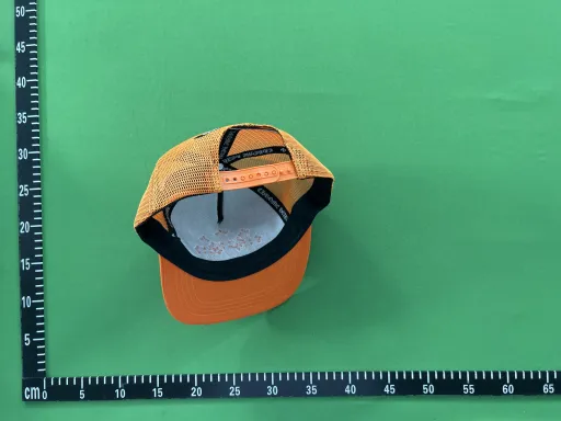 新彩色珊瑚  白橘色