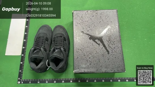 __qc_other__ d:2026-04-10