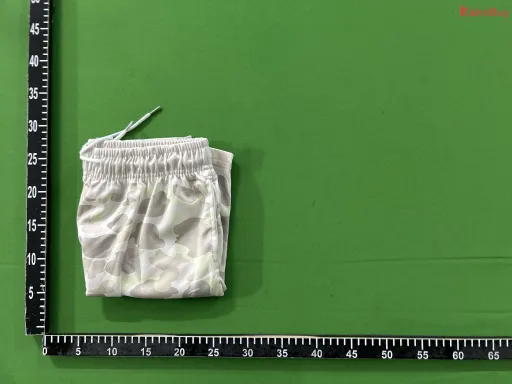 BAPE短裤 14