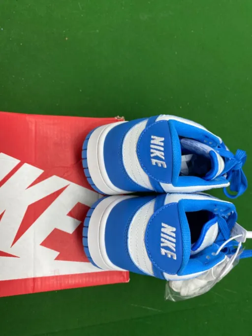 DUNK: DD1391-102