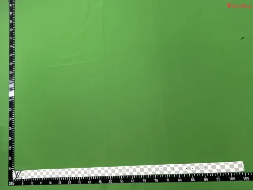 白格 银扣