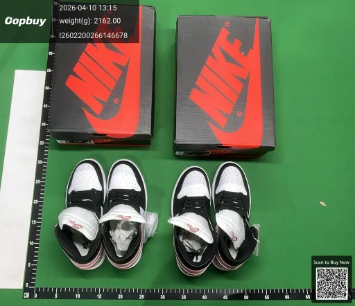 __qc_other__ d:2026-04-10