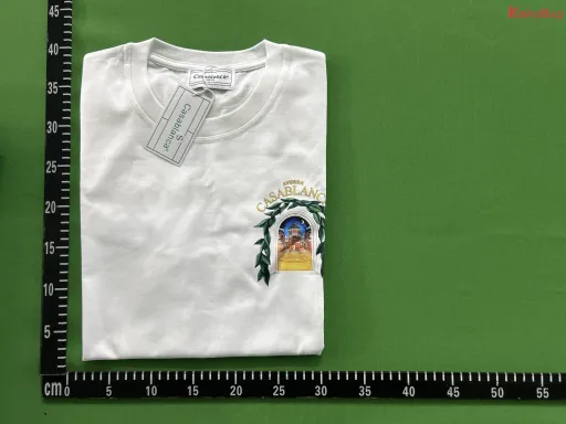 8095白
