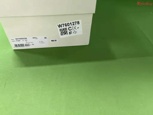 灰白 101