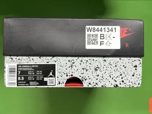 FV5029-100