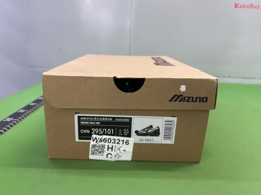 熊猫玉竹 D1GH240802