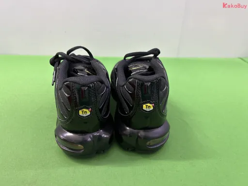 TN1-32