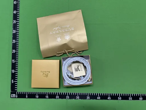 color(with gift box):Burb Gold3