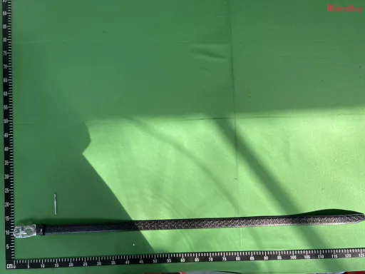 马蹄纹银扣