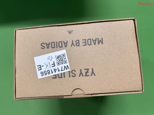 骨白6345